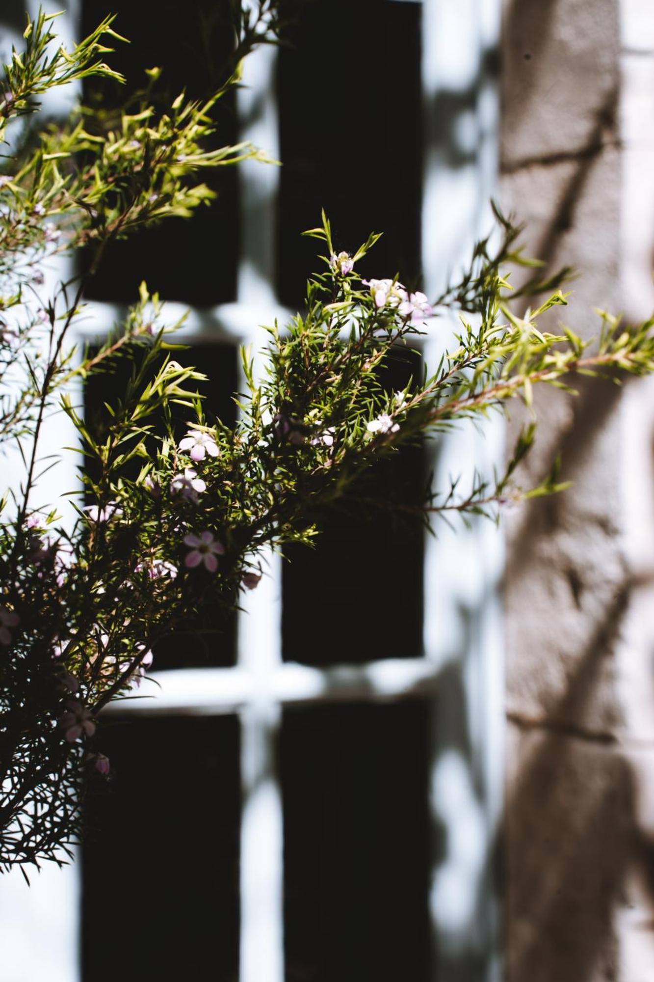 Hotel Bastide Rose